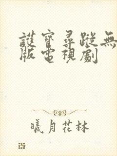 护宝寻踪无删减版电视剧