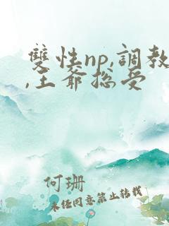 双性np,调教,王爷总受