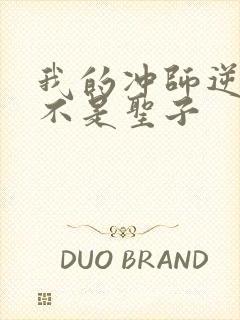 我的冲师逆徒才不是圣子