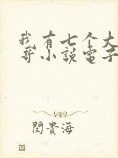 我有七个大佬哥哥小说电子版txt