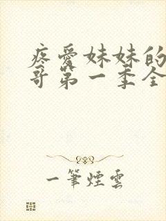 疼爱妹妹的好哥哥第一季全集免费观看 动漫