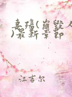 妻殇(崩毁人生)最新章节