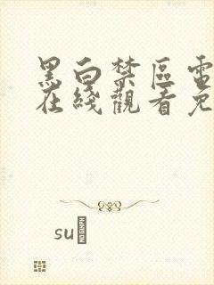 黑白禁区电视剧在线观看免费完整版