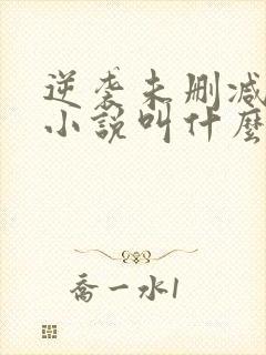 逆袭未删减原著小说叫什么