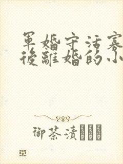 军婚守活寡重生后离婚的小说