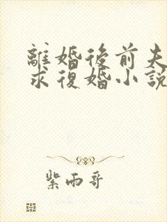 离婚后前夫哭着求复婚小说全部章节