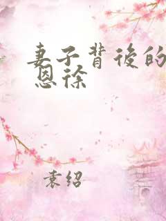 妻子背后的秘密 恩徐