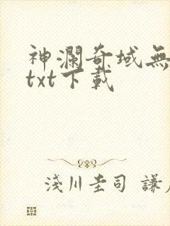 神澜奇域无双珠txt下载