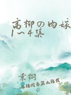 高柳の肉嫁动漫1～4集