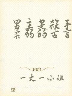 男主是杀手女主柔弱的古言