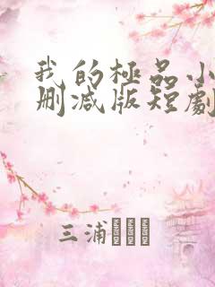 我的极品小姨未删减版短剧