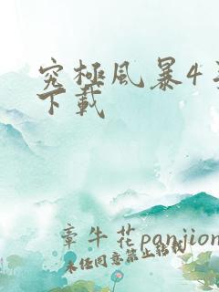 究极风暴4手游下载