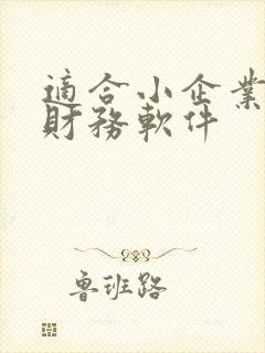 适合小企业用的财务软件