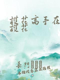 护花高手在都市护花