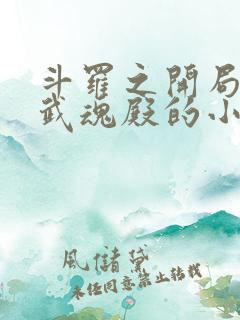 斗罗之开局加入武魂殿的小说