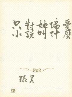 只对她偏爱原著小说叫什么名字