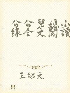 公公儿媳小说孽缘全文阅读