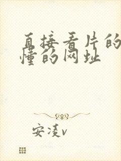 直接看片的站你懂的网址