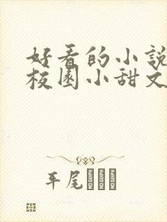 好看的小说言情校园小甜文