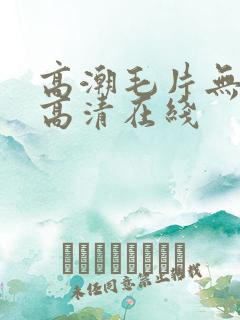 高潮毛片无遮挡高清在线