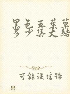 黑色五叶草一共多少集大结局