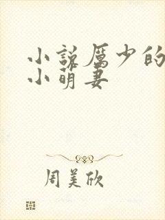 小说厉少的闪婚小萌妻