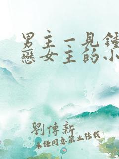 男主一见钟情暗恋女主的小说