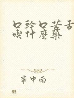 口干口苦舌苔黄吃什么药