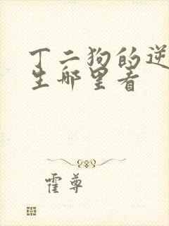 丁二狗的逆袭人生哪里看