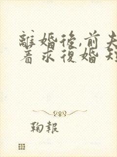 离婚后,前夫哭着求复婚 短剧