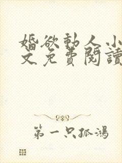 婚欲动人小说全文免费阅读