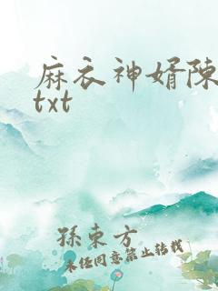 麻衣神婿陈黄皮txt