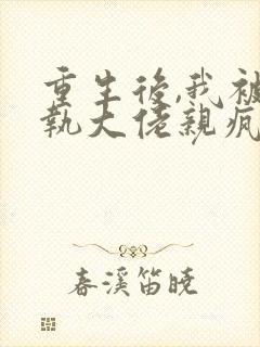 重生后,我被偏执大佬亲疯了