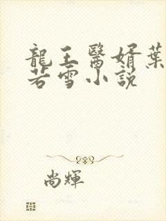 龙王医婿叶凡唐若雪小说