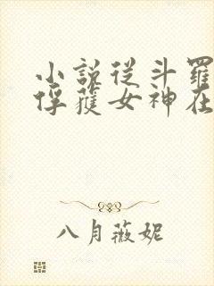 小说从斗罗开始俘获女神在线阅读