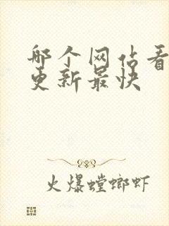 哪个网站看动漫更新最快