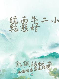 皖南牛二小说大乾憨婿