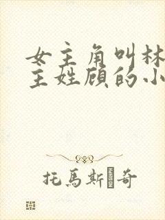 女主角叫林微男主姓顾的小说