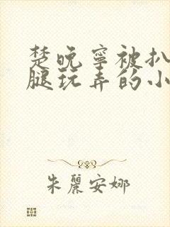 楚晚宁被扒开双腿玩弄的小说