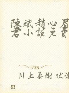 陈斌赵心眉高婉君小说免费阅读