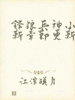 锋狼兵神小说最新章节更新内容