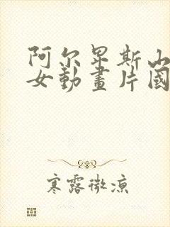 阿尔卑斯山的少女动画片国语