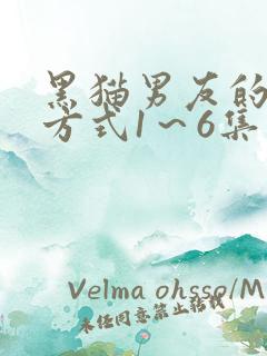 黑猫男友的疼爱方式1～6集