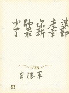 少帅你老婆又跑了最新章节