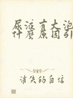 尿液有大泡泡是什么原因引起的