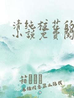 清纯校花的堕落小说免费阅读无弹窗