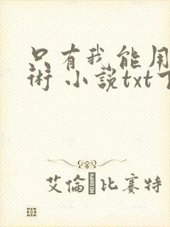 只有我能用召唤术 小说txt下载