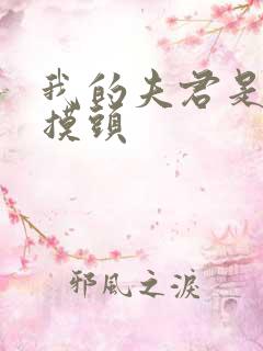 我的夫君是灭世摸头