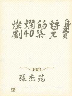 灿烂的转身电视剧40集免费观看高清