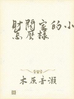 财阀家的小儿子怎么样